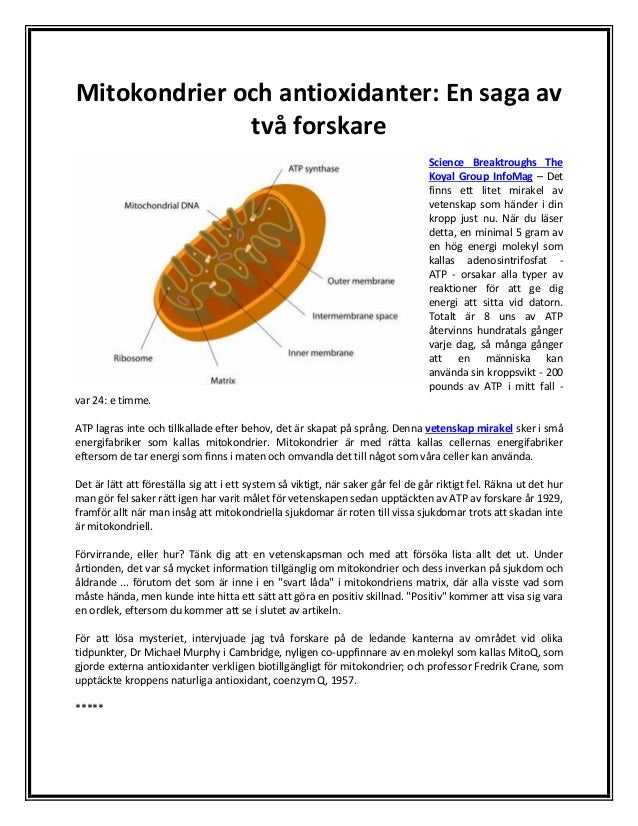 vad är antioxidanter vad är antioxidanter